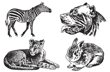Graphical set of animals on white background, vector rabbit, tiger, zebra and a dog