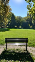 Fototapeta premium A clear, sunny day in a quiet park with lush green grass and an empty bench