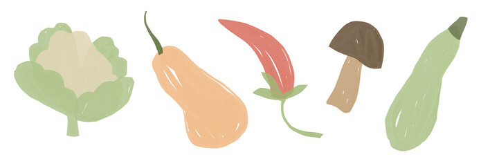 Collection of farm vegetables illustrations. Cauliflower, pumpkin, mushroom, pepper, squash. Hand drawn.