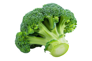 Fresh Green Broccoli Stalk Isolated on a Clean White Background for Culinary Use and Healthy Eating