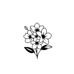 Elegant Black and White Flower Illustration: Simple Floral Design, Minimalist Botanical Line Art, Perfect for Spring or Summer Decor