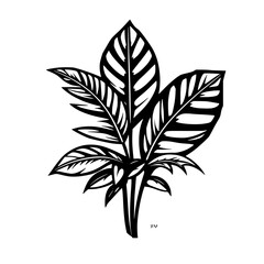Monochrome Tropical Leaves Botanical Illustration: Elegant Line Art Print for Home Decor
