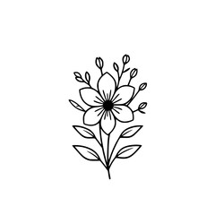 Elegant Line Art Flower Drawing: Minimalist Botanical Illustration, Simple Floral Design, Black and White Vector Graphic