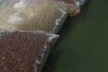 agriculture, grass, outdoors, green, family, summer, person, child, animal, woman, seed, rice seed, agriculture sustainability, how to be planting, rice product