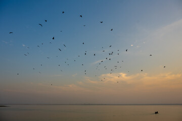 Birds Flying Over the Padma River at Sunset with a Small Boat in Rajshahi, Bangladesh
