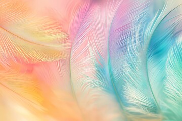 Abstract background featuring gently colored, soft feathers. Flat lay