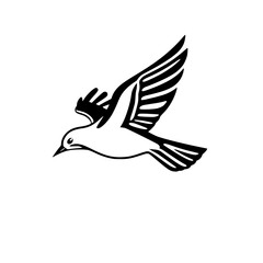 Elegant Black and White Bird in Flight: A Stunning Avian Silhouette