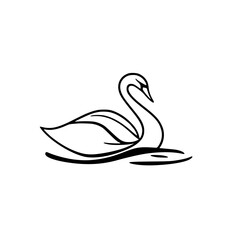 Elegant Swan on Water: A Symbol of Grace and Beauty in Nature