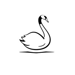 Elegant Swan: A Minimalist Bird Illustration - Nature, Wildlife, and Graceful Animal Vector Graphic