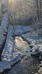 Mountain stream in the winter forest
