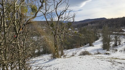 Winter landscape in a mountain village