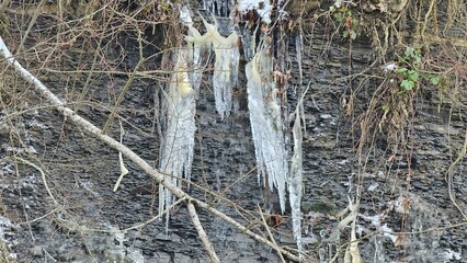 Icicles near the bank of a mountain river