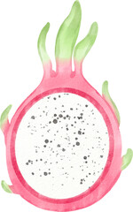 watercolor dragon fruit