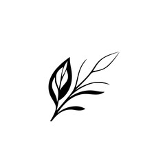 Elegant Black and White Botanical Illustration: Simple Leaf Branch Drawing, Minimalist Floral Design, Nature Sketch, Plant Vector Graphic