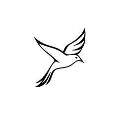Elegant Hummingbird in Flight: A Minimalist Bird Illustration