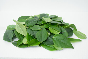 Green grass jelly leaves (Cyclea barbata) are leaves that are usually used as medicine. These leaves can also be processed into grass jelly by squeezing the water.