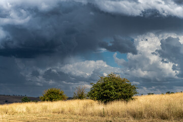 Fototapeta premium Summer storms over the countryside