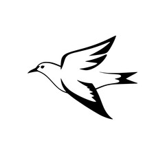 Elegant Black and White Bird in Flight: A Symbol of Peace and Freedom