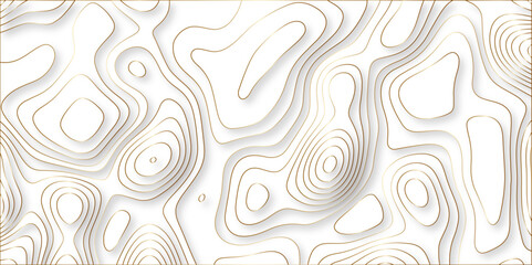 paper cut 3d render topography abstract, beautiful white Background. geometric map relief texture with curved layers and shadow. Realistic papercut decoration textured with wavy vector design.