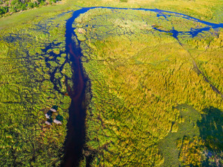 Okavango landscape in Botswana.