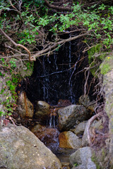 Spring in Torres del Paine National Park, Patagonia, Chile