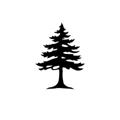 Majestic Evergreen: A Black and White Pine Tree Silhouette - Nature Illustration