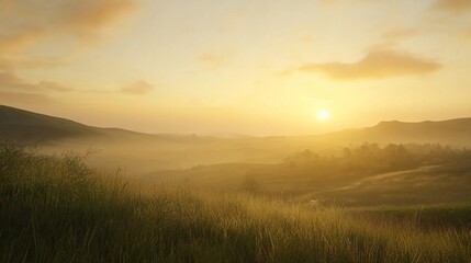 Fototapeta premium Golden Sunrise Over Rolling Hills with Morning Fog and Tall Grass in Foreground