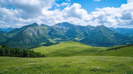 Fototapeta premium A breathtaking view of a lush green valley, cradled by majestic mountains under a clear blue sky.