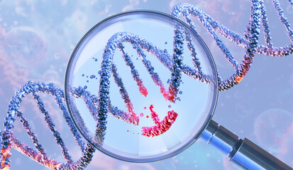 DNA double helix under a magnifying glass, symbolizing genetic engineering and gene manipulation. CRISPR technology, genome editing, molecular biotechnology, genetic science research, gene therapy. 3D