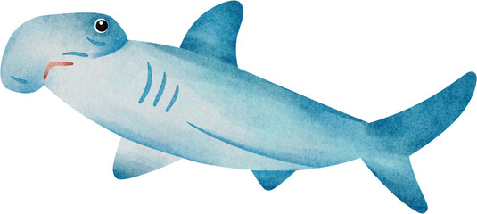 Fototapeta premium watercolor hammerhead shark