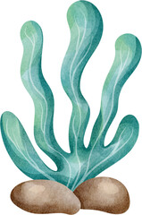 watercolor seaweed © Je