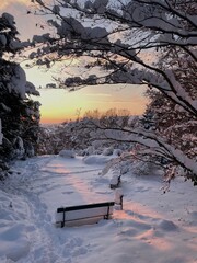 bench in winter
