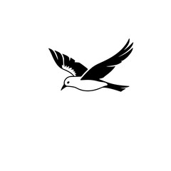 Majestic Bird in Flight: A Black and White Avian Silhouette Representing Freedom and Grace