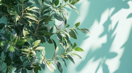 Fototapeta premium Natural green leaves illuminated by sunlight against a pastel background