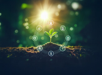 A vibrant green sprout emerges from rich soil, bathed in sunlight.  A glowing circular display of icons surrounds the plant, suggesting growth and technological advancement in nature.