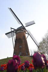 windmill