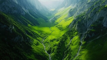 Aerial view of lush green valley between towering mountains.