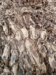 Dark gray brown Old wooden table texture