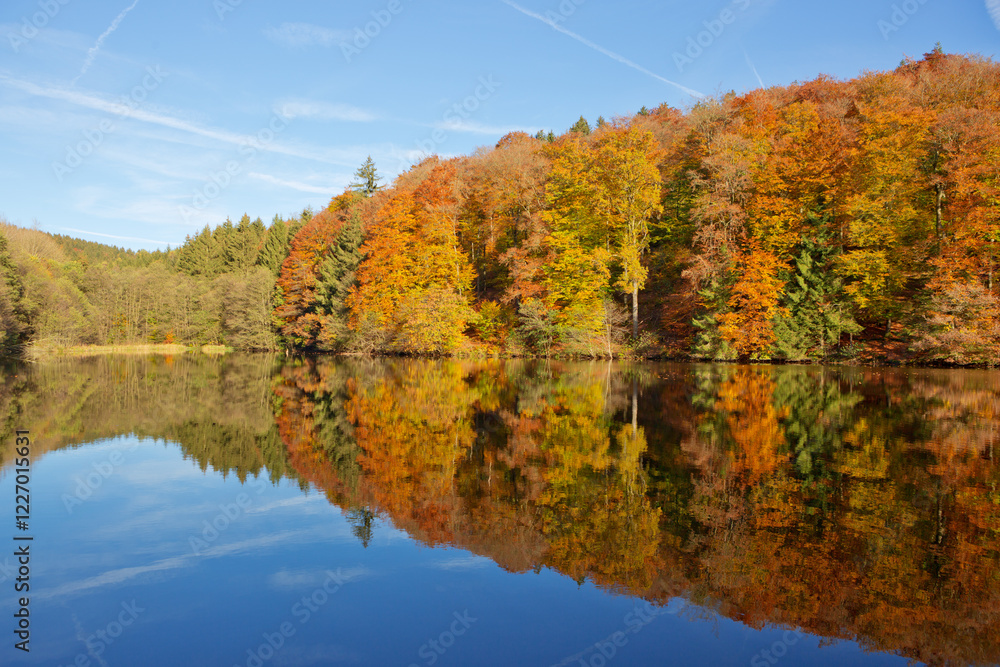 Canvas Prints fall panoramic forest in the lake with reflection.