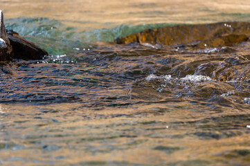 渓流の清らかな流れ