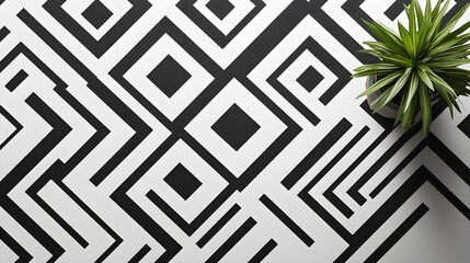 black and white geometric pattern background with plant