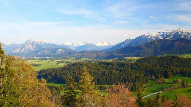Witness the Natural Beauty of Spring in Germany with Vibrant Sunshine and Lush Green Landscapes