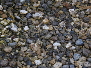 Close-up of wet gravel stones in various natural shades of brown, white, and gray. Ideal for backgrounds, textures, and nature-themed designs.