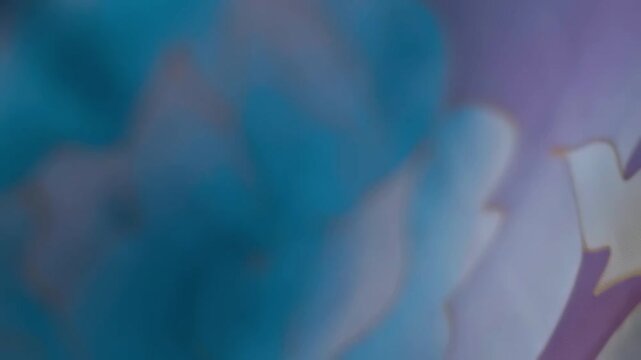 Fabric with a beautiful multi-colored floral pattern flutters in the wind. Closeup. Macro