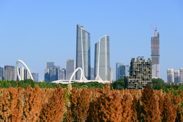 city skyline with sorghum fields