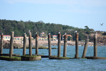 view of the town of coastal city in qingdao