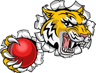 A wildcat or bobcat lynx bobcats wildcats sports team cricket ball mascot