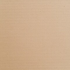 Brown cardboard box with white stripe and seamless kraft paper texture in natural brown tone
