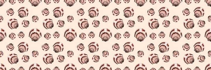 Semirealistic pattern of shell .Hand-drawn shell pattern. Shell isolated pattern for background. Spring, summer, autum season concept, Easter, nature. Design for card, print, and cover.