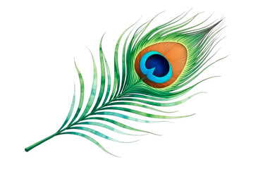 Obraz premium Watercolor illustration of a peacock feather, showing bright shades of green, blue and gold with intricate details. Peacock bird feather isolated on a white background painted in watercolor.